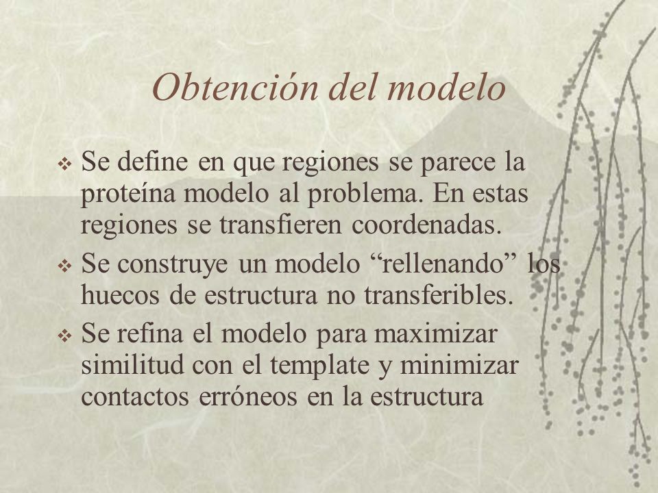 Obtención del modelo Se define en que regiones se parece la proteína modelo al problema. En estas regiones se transfieren coordenadas.