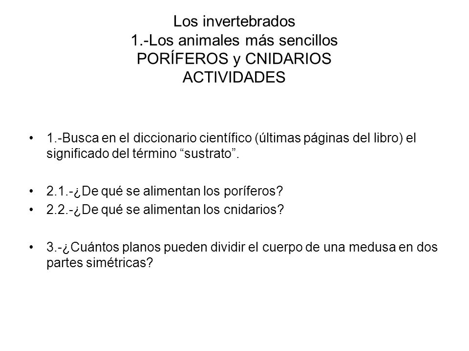 Los invertebrados 1.-Los animales más sencillos PORÍFEROS y CNIDARIOS ACTIVIDADES