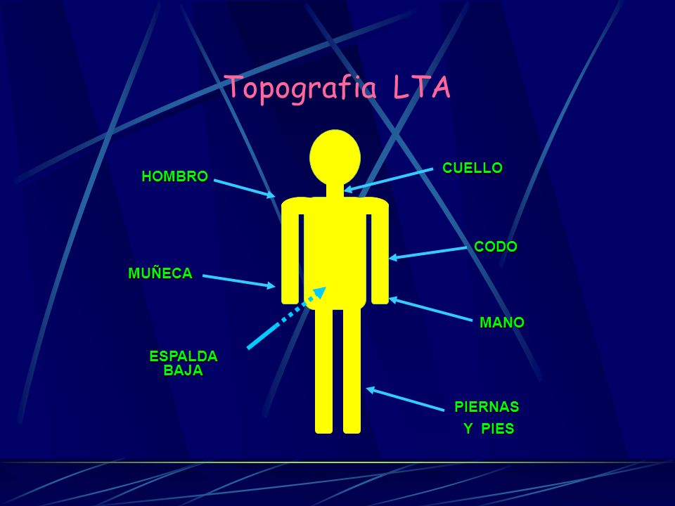 Topografia LTA MUÑECA CUELLO HOMBRO CODO MANO ESPALDA BAJA PIERNAS