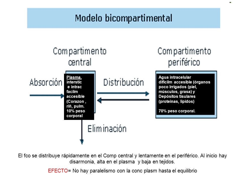 EFECTO= No hay paralelismo con la conc plasm hasta el equilibrio