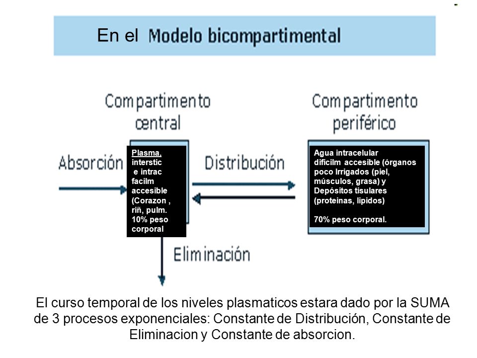En el Plasma, interstic. e intrac facilm accesible (Corazon , riñ, pulm. 10% peso corporal. Agua intracelular.