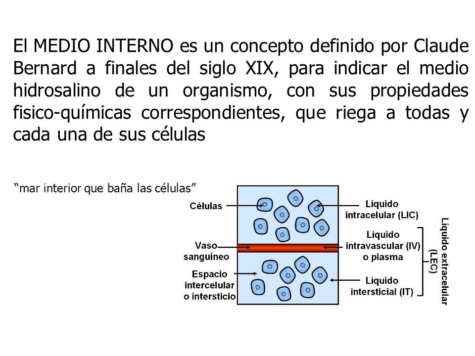 El MEDIO INTERNO es un concepto definido por Claude Bernard a finales del siglo XIX, para indicar el medio hidrosalino de un organismo, con sus propiedades fisico-químicas correspondientes, que riega a todas y cada una de sus células