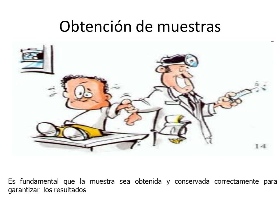 Obtención de muestras Es fundamental que la muestra sea obtenida y conservada correctamente para garantizar los resultados.
