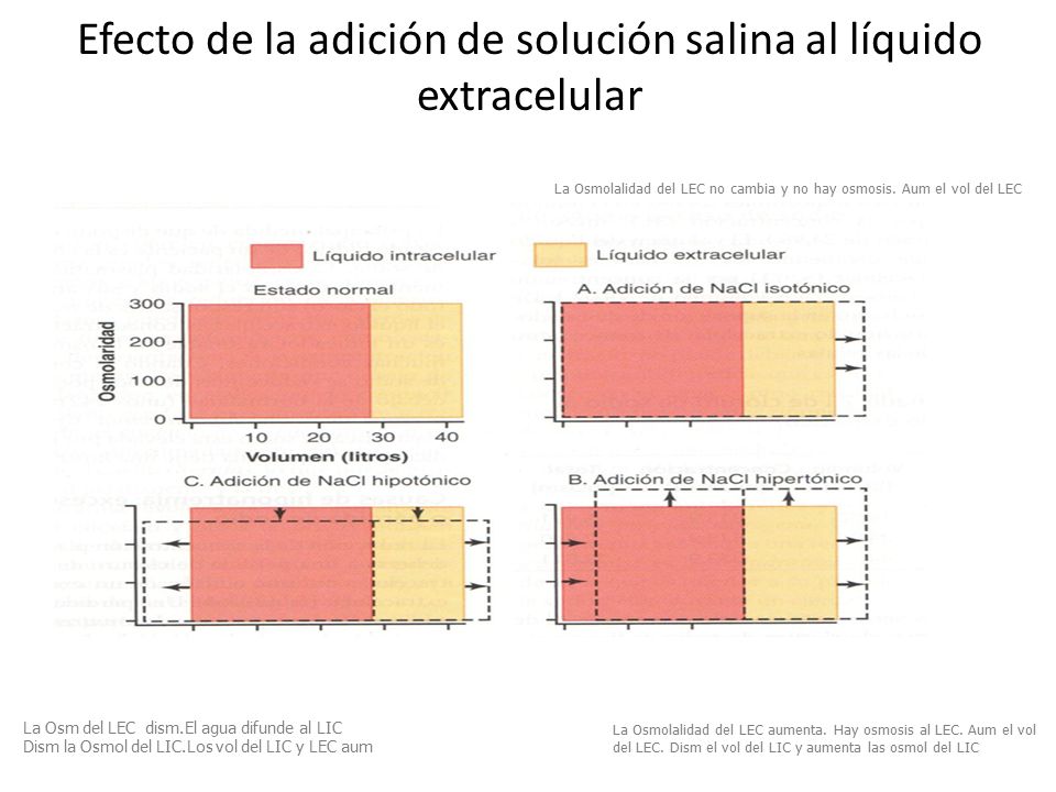 Efecto de la adición de solución salina al líquido extracelular