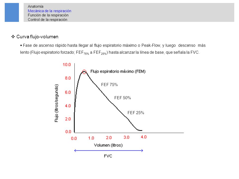 Anatomía Mecánica de la respiración. Función de la respiración. Control de la respiración. Anatomía.