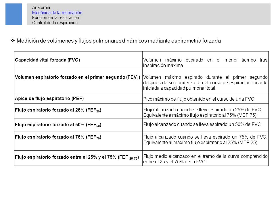 Anatomía Mecánica de la respiración. Función de la respiración. Control de la respiración. Anatomía.