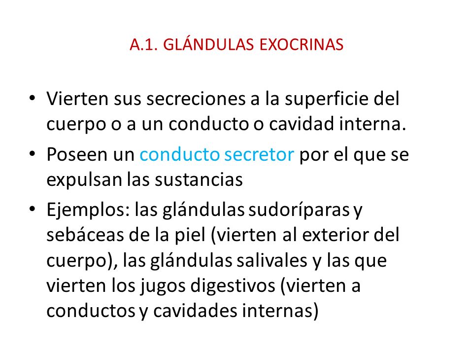 Poseen un conducto secretor por el que se expulsan las sustancias