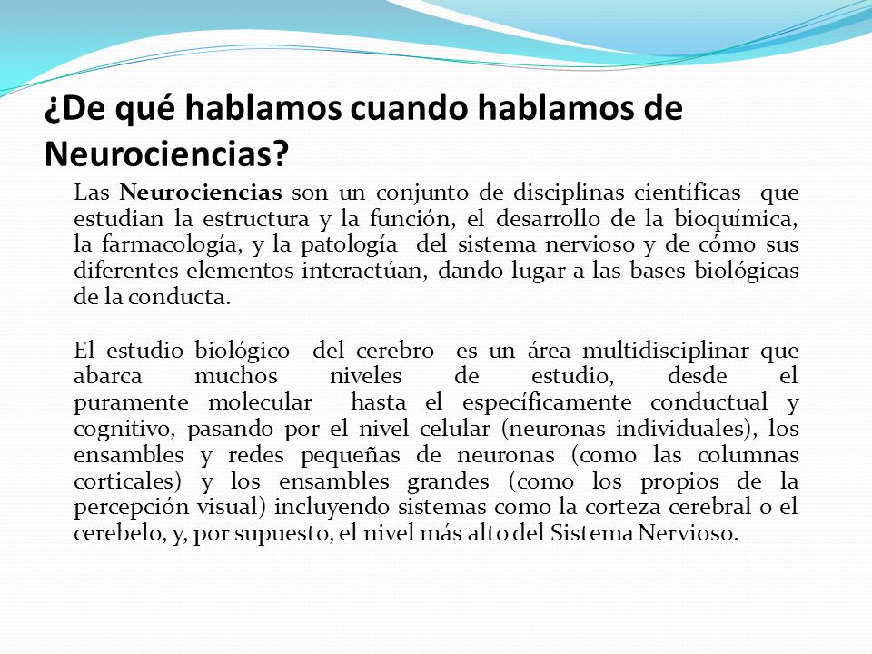 ¿De qué hablamos cuando hablamos de Neurociencias