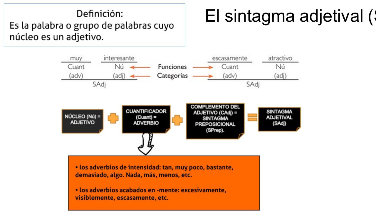 El sintagma adjetival (SAdj)