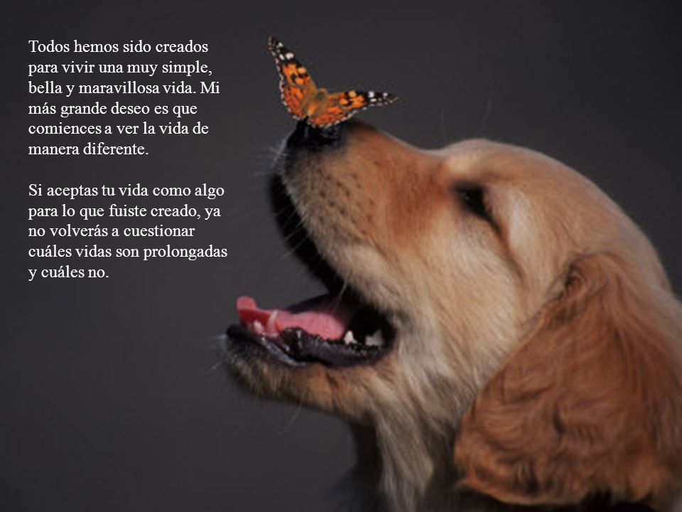 Todos hemos sido creados para vivir una muy simple, bella y maravillosa vida. Mi más grande deseo es que comiences a ver la vida de manera diferente.