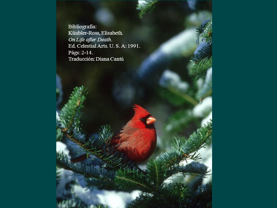 Bibliografía: Küubler-Ross, Elisabeth. On Life after Death. Ed. Celestial Arts. U. S. A: Págs: