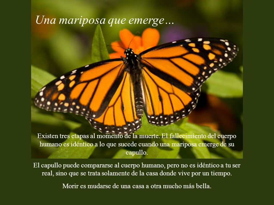 Morir es mudarse de una casa a otra mucho más bella.