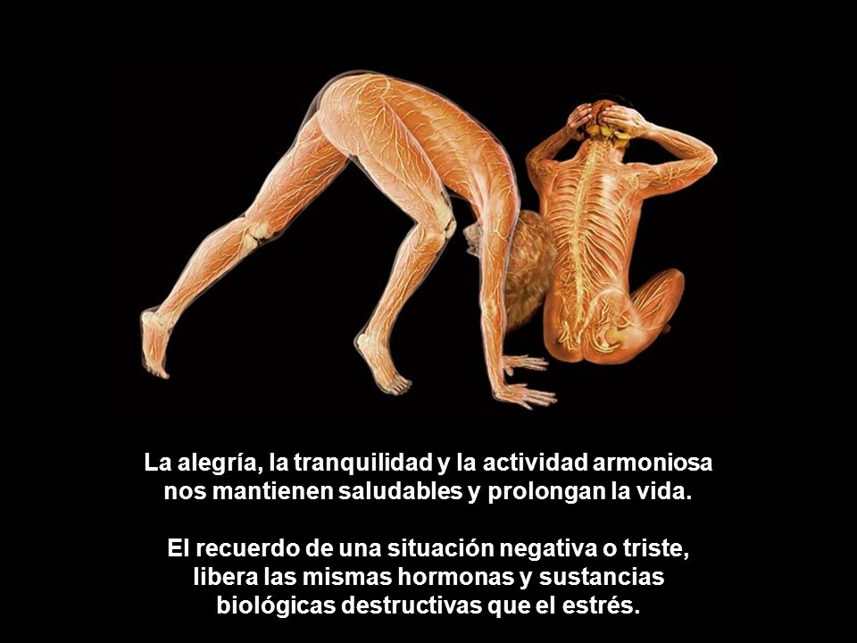 La alegría, la tranquilidad y la actividad armoniosa nos mantienen saludables y prolongan la vida.