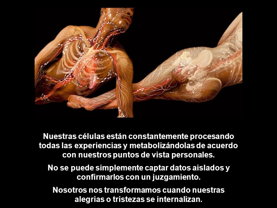 Nuestras células están constantemente procesando todas las experiencias y metabolizándolas de acuerdo con nuestros puntos de vista personales.