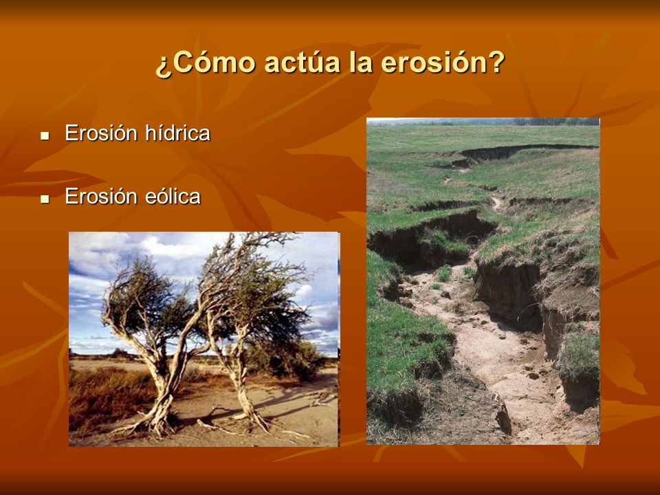 ¿Cómo actúa la erosión Erosión hídrica Erosión eólica