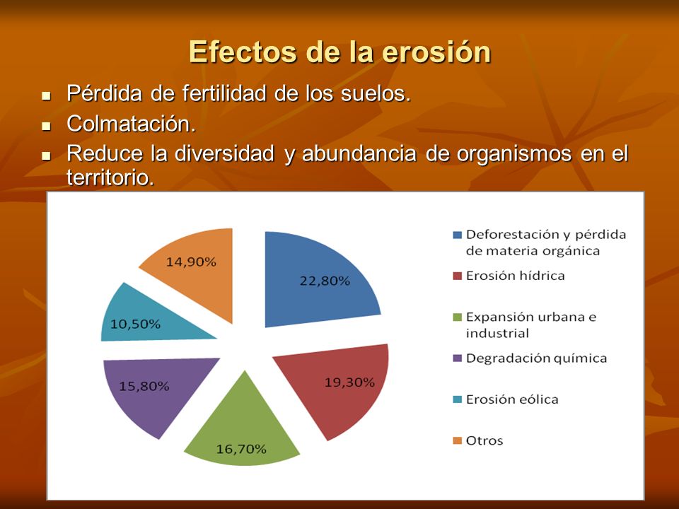 Efectos de la erosión Pérdida de fertilidad de los suelos.