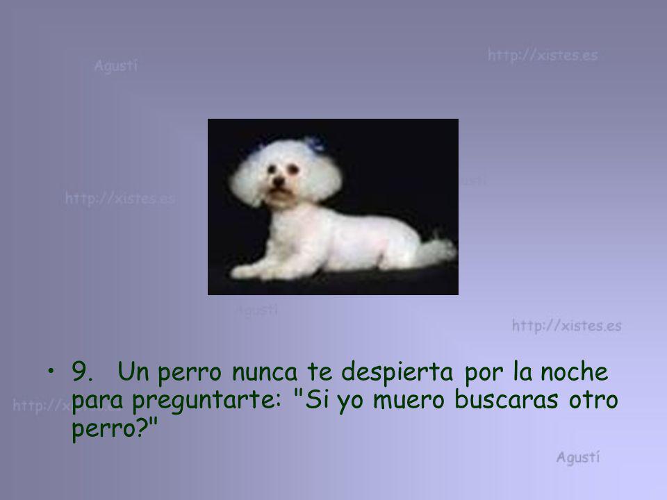 9. Un perro nunca te despierta por la noche para preguntarte: Si yo muero buscaras otro perro