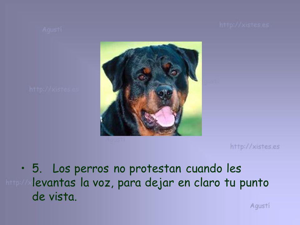 5. Los perros no protestan cuando les levantas la voz, para dejar en claro tu punto de vista.