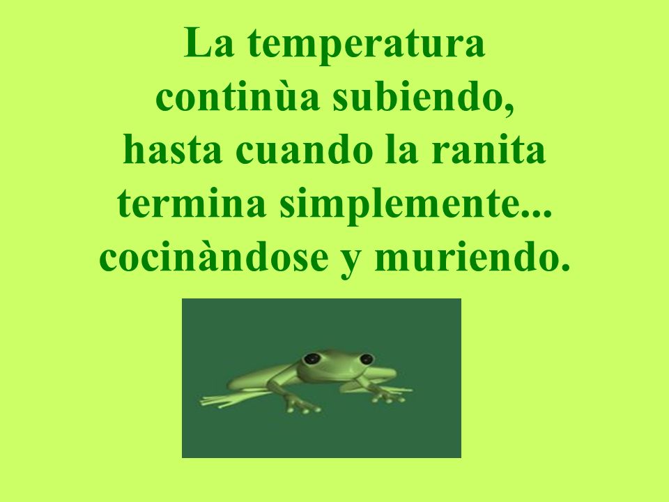 La temperatura continùa subiendo, hasta cuando la ranita termina simplemente...