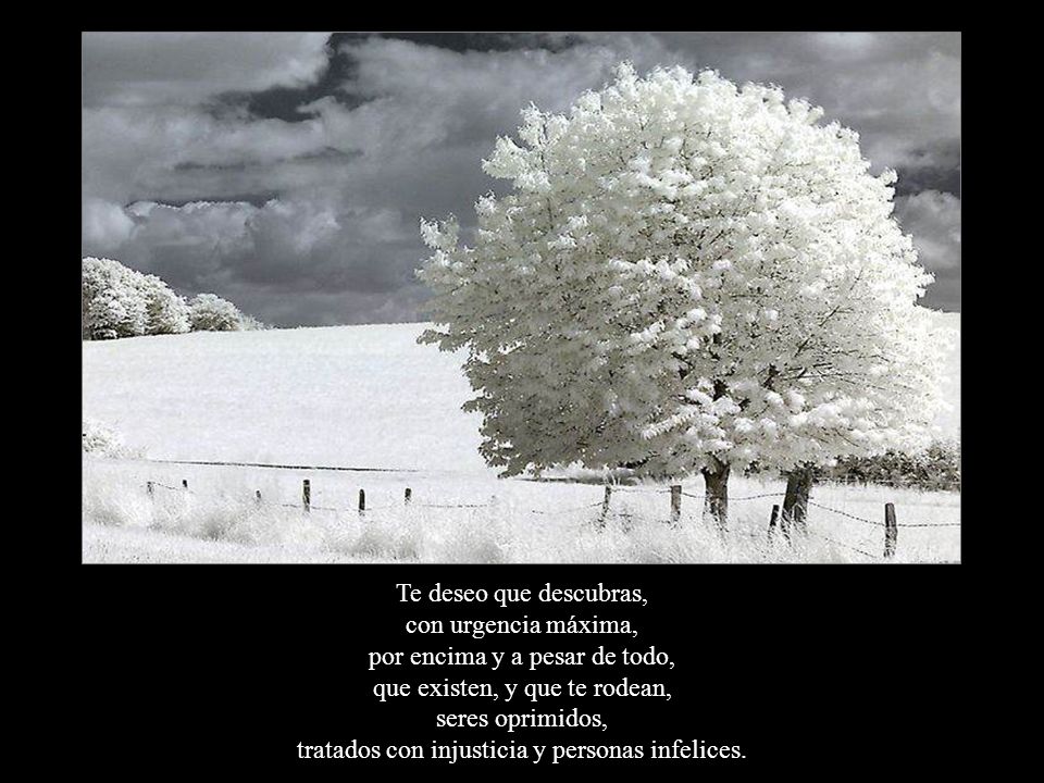 Te deseo que descubras, con urgencia máxima, por encima y a pesar de todo, que existen, y que te rodean, seres oprimidos, tratados con injusticia y personas infelices.