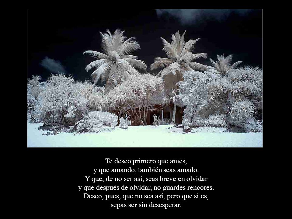 Te deseo primero que ames, y que amando, también seas amado