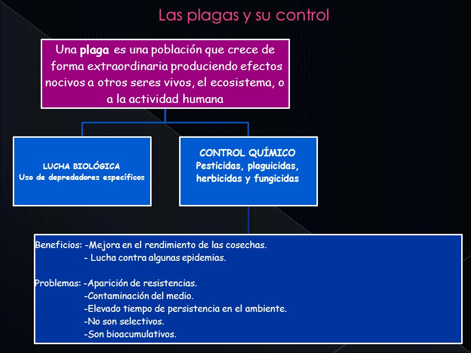 Las plagas y su control Una plaga es una población que crece de