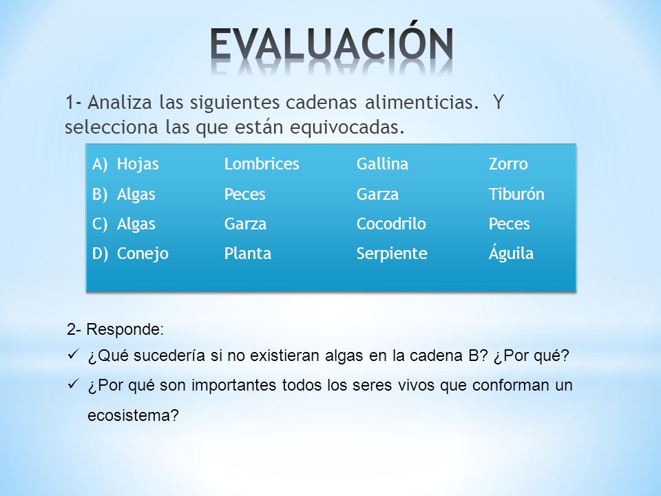 EVALUACIÓN 1- Analiza las siguientes cadenas alimenticias. Y selecciona las que están equivocadas.