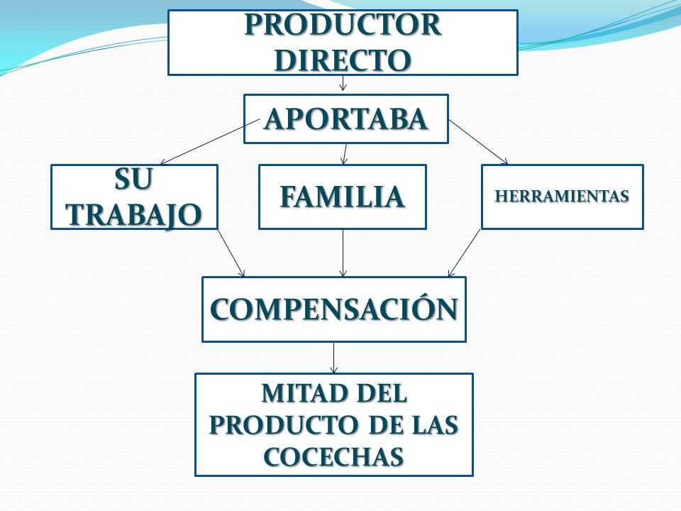 MITAD DEL PRODUCTO DE LAS COCECHAS