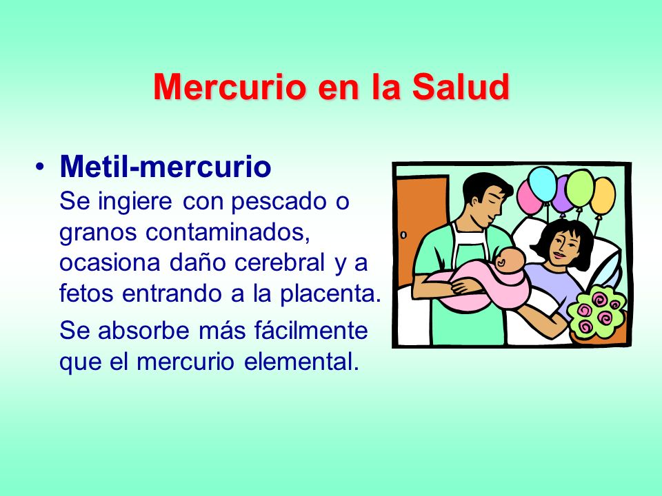 Mercurio en la Salud Metil-mercurio Se ingiere con pescado o granos contaminados, ocasiona daño cerebral y a fetos entrando a la placenta.