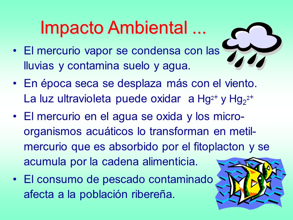 Impacto Ambiental ... El mercurio vapor se condensa con las lluvias y contamina suelo y agua.