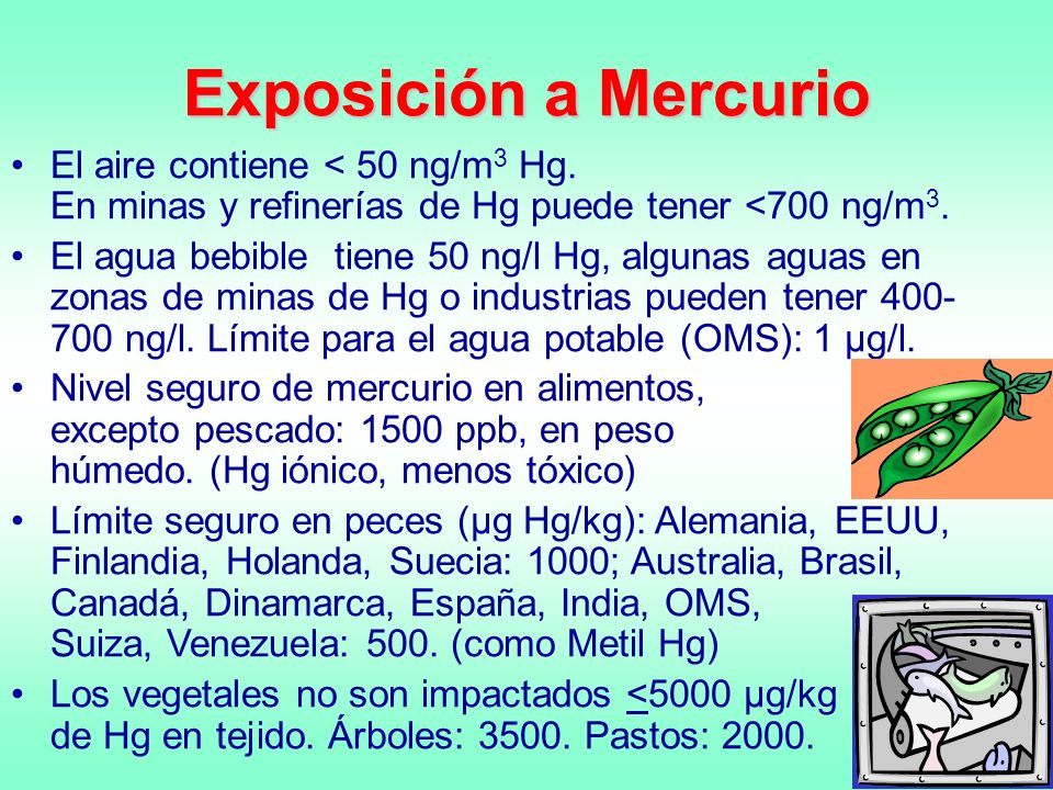 Exposición a Mercurio El aire contiene < 50 ng/m3 Hg. En minas y refinerías de Hg puede tener <700 ng/m3.