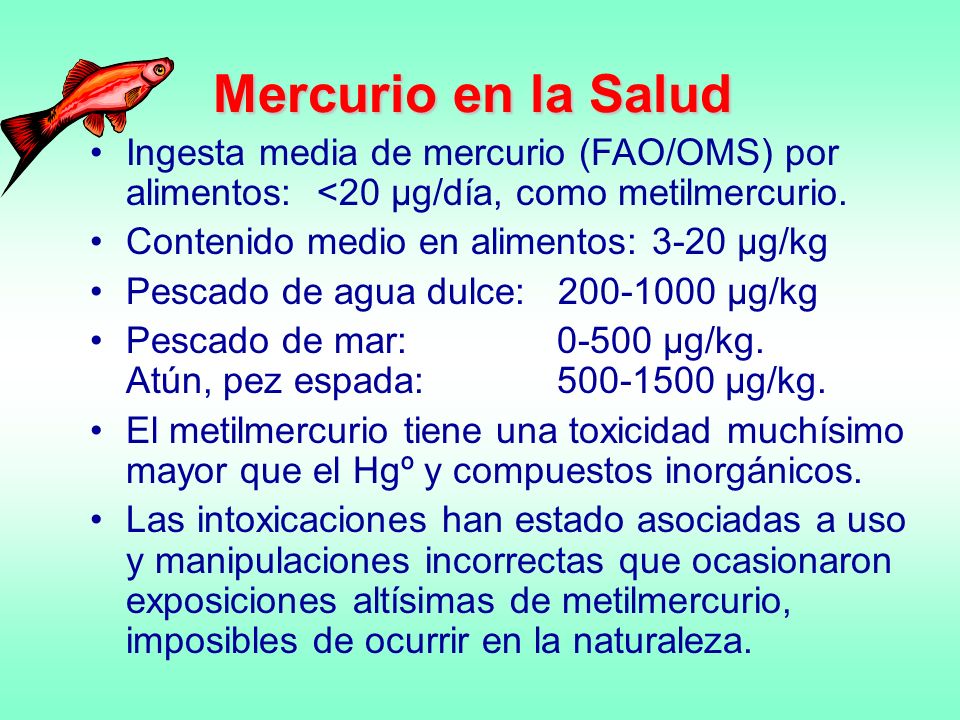 Mercurio en la Salud Ingesta media de mercurio (FAO/OMS) por alimentos: <20 µg/día, como metilmercurio.