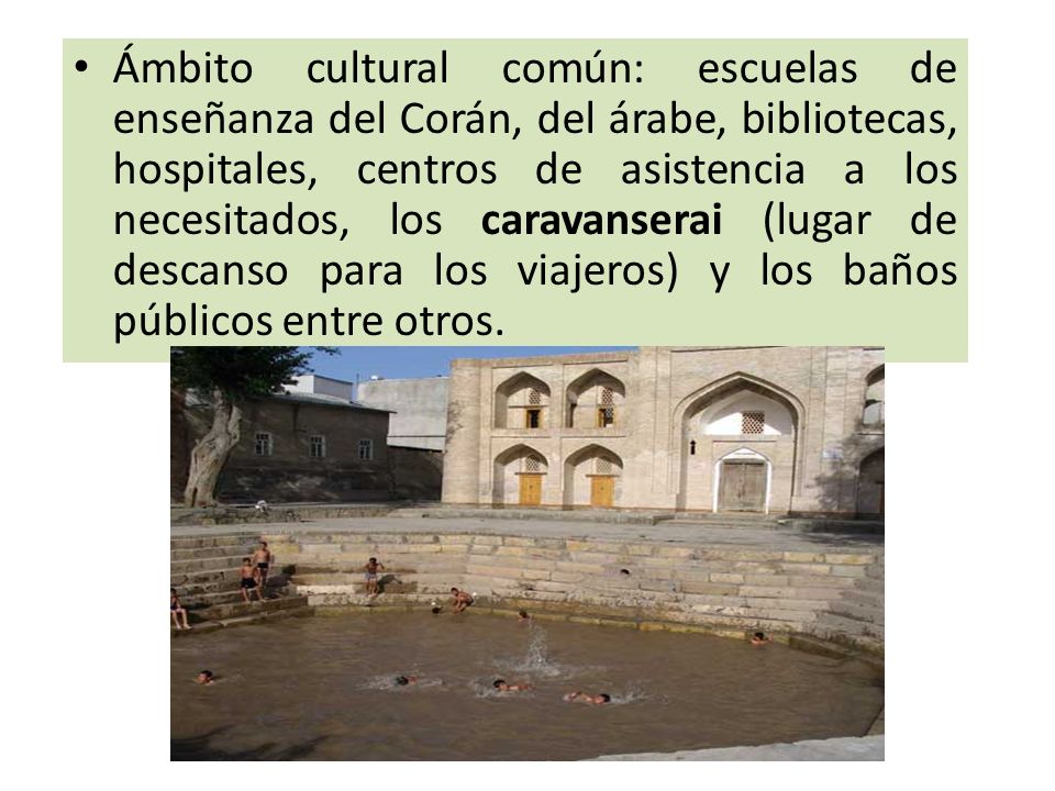 Ámbito cultural común: escuelas de enseñanza del Corán, del árabe, bibliotecas, hospitales, centros de asistencia a los necesitados, los caravanserai (lugar de descanso para los viajeros) y los baños públicos entre otros.