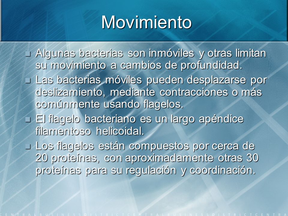 Movimiento Algunas bacterias son inmóviles y otras limitan su movimiento a cambios de profundidad.