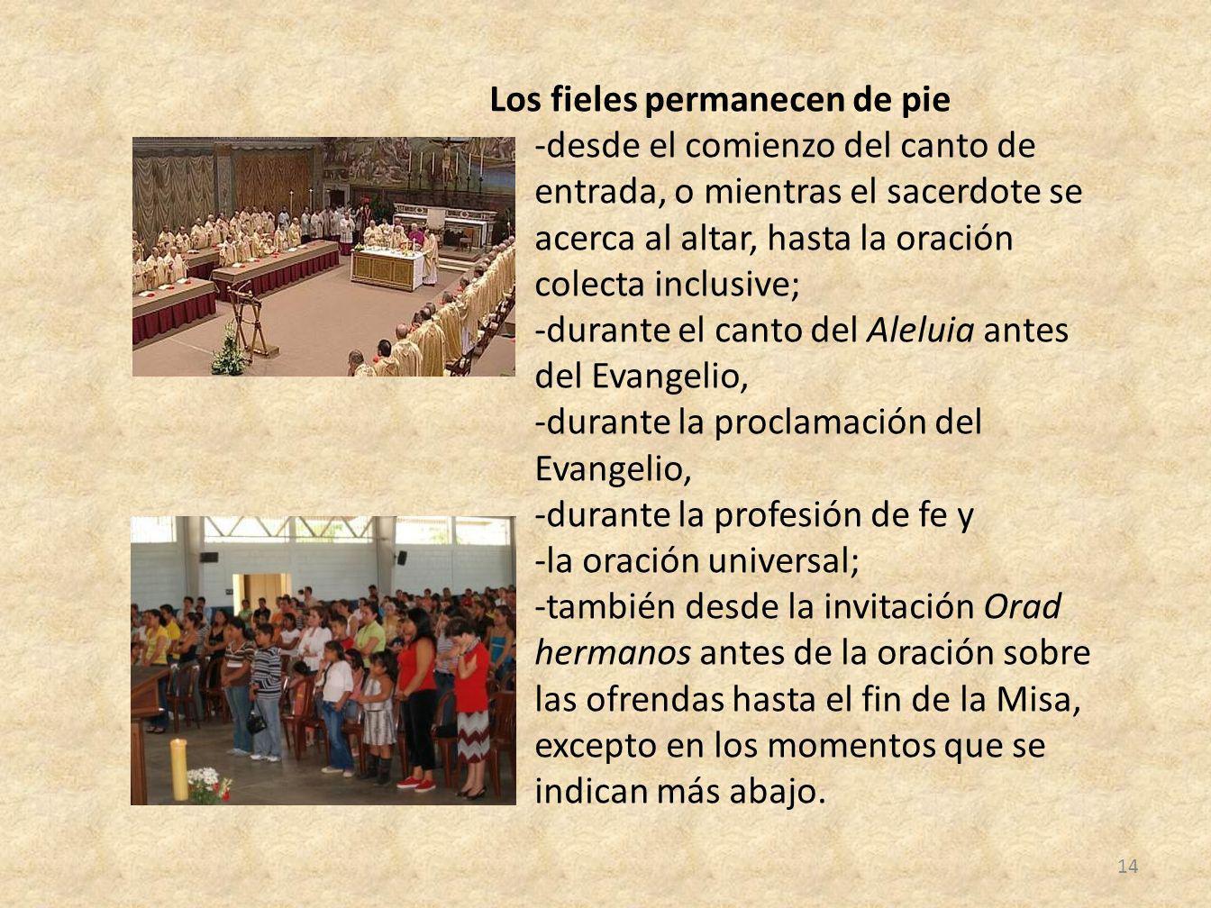 Los fieles permanecen de pie -desde el comienzo del canto de entrada, o mientras el sacerdote se acerca al altar, hasta la oración colecta inclusive; -durante el canto del Aleluia antes del Evangelio, -durante la proclamación del Evangelio, -durante la profesión de fe y -la oración universal; -también desde la invitación Orad hermanos antes de la oración sobre las ofrendas hasta el fin de la Misa, excepto en los momentos que se indican más abajo.