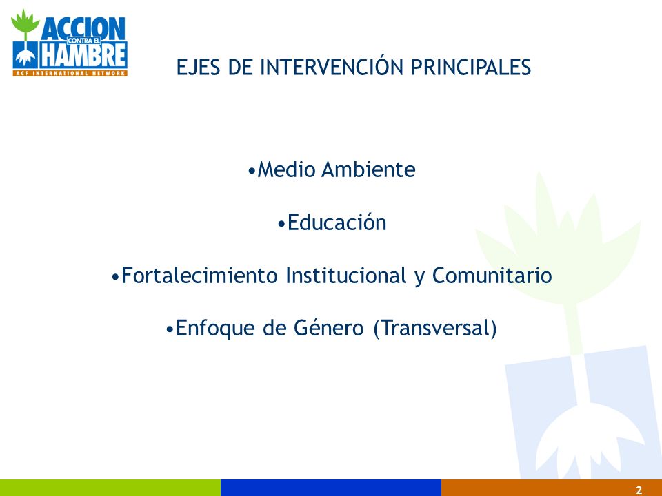 EJES DE INTERVENCIÓN PRINCIPALES