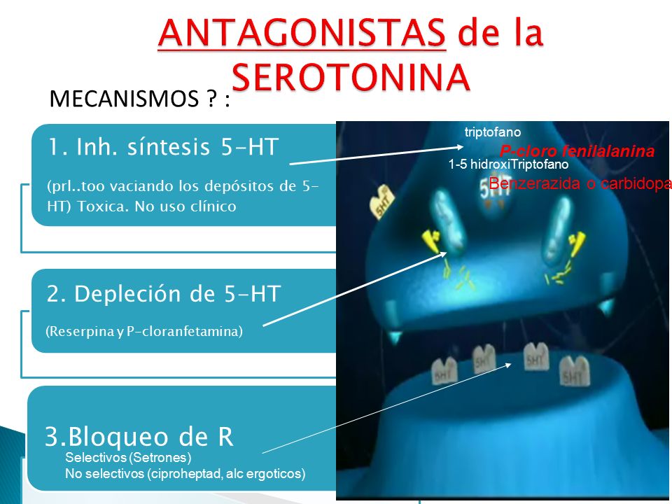 ANTAGONISTAS de la SEROTONINA