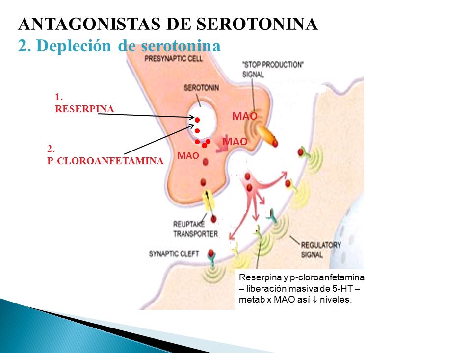 ANTAGONISTAS DE SEROTONINA 2. Depleción de serotonina