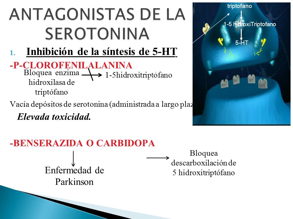 ANTAGONISTAS DE LA SEROTONINA