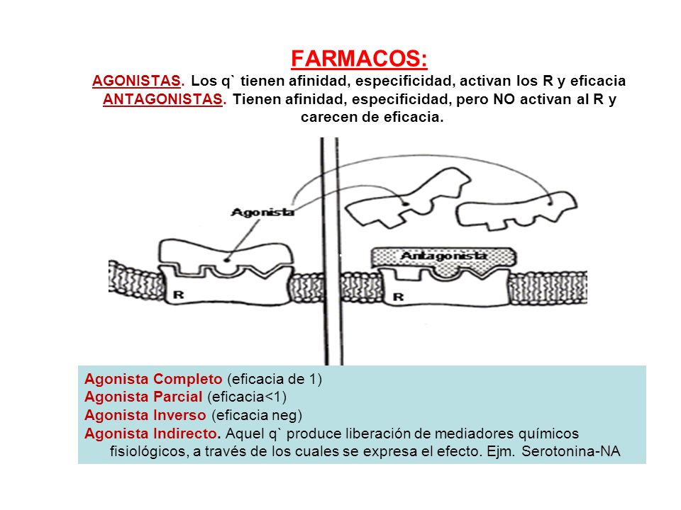 FARMACOS: AGONISTAS. Los q` tienen afinidad, especificidad, activan los R y eficacia.