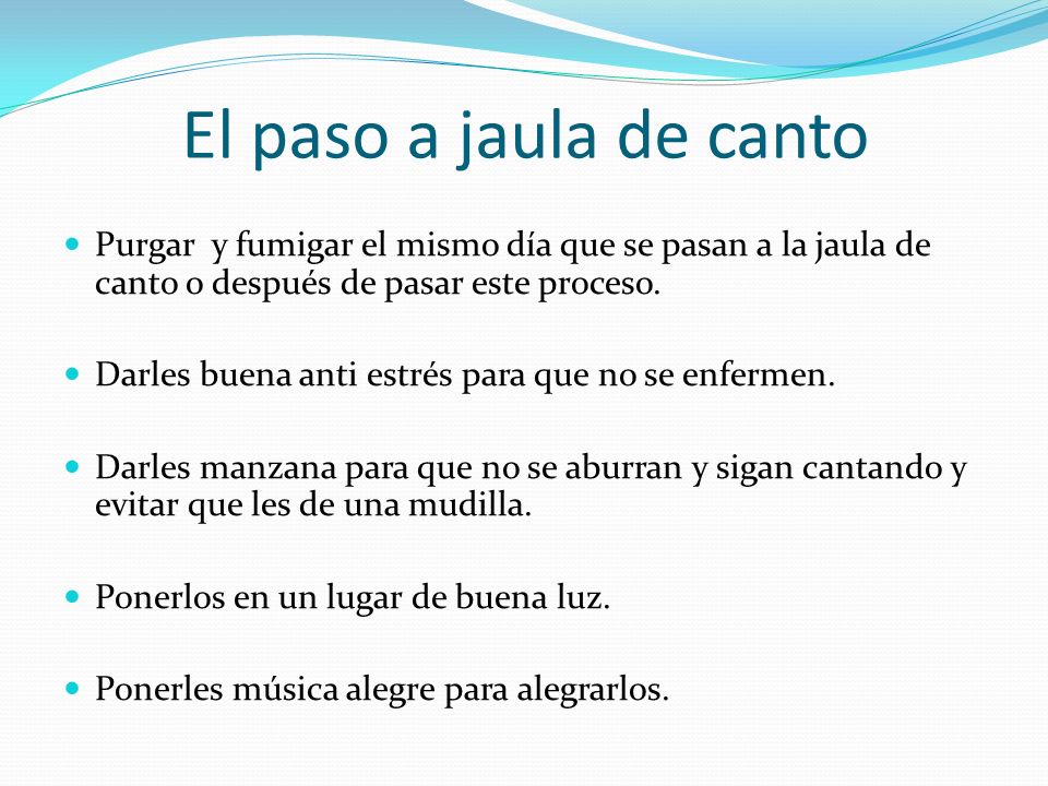 El paso a jaula de canto Purgar y fumigar el mismo día que se pasan a la jaula de canto o después de pasar este proceso.
