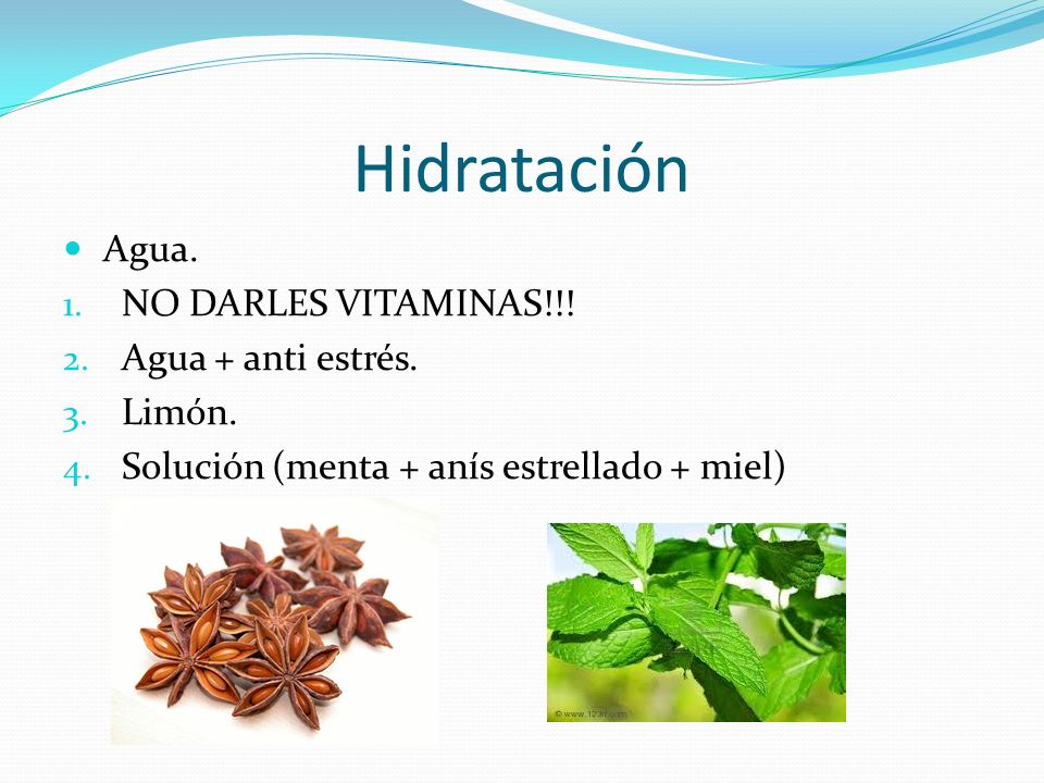 Hidratación Agua. NO DARLES VITAMINAS!!! Agua + anti estrés. Limón.