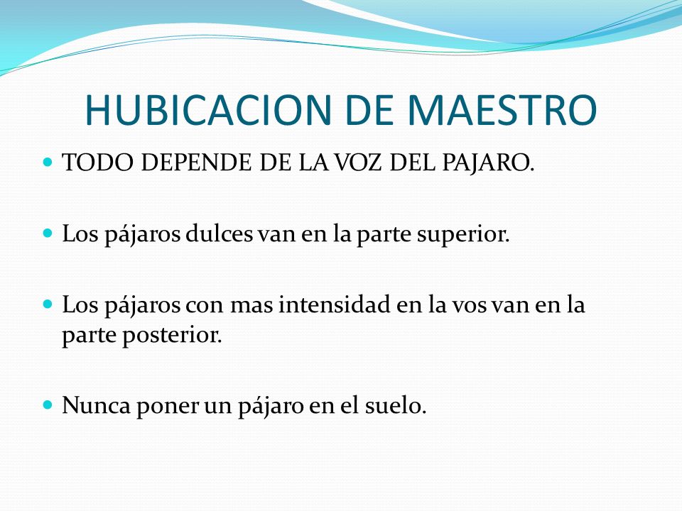 HUBICACION DE MAESTRO TODO DEPENDE DE LA VOZ DEL PAJARO.