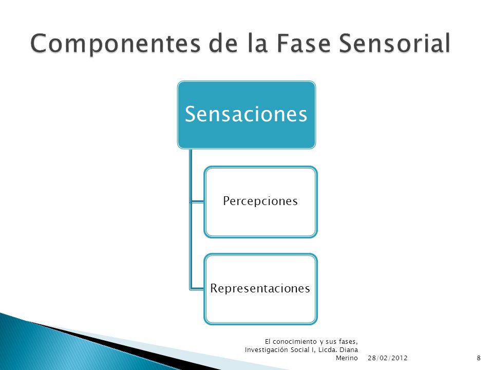 Componentes de la Fase Sensorial