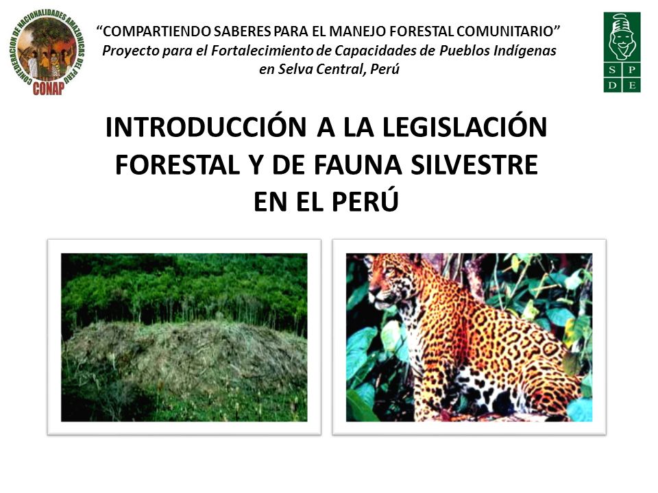 INTRODUCCIÓN A LA LEGISLACIÓN FORESTAL Y DE FAUNA SILVESTRE EN EL PERÚ