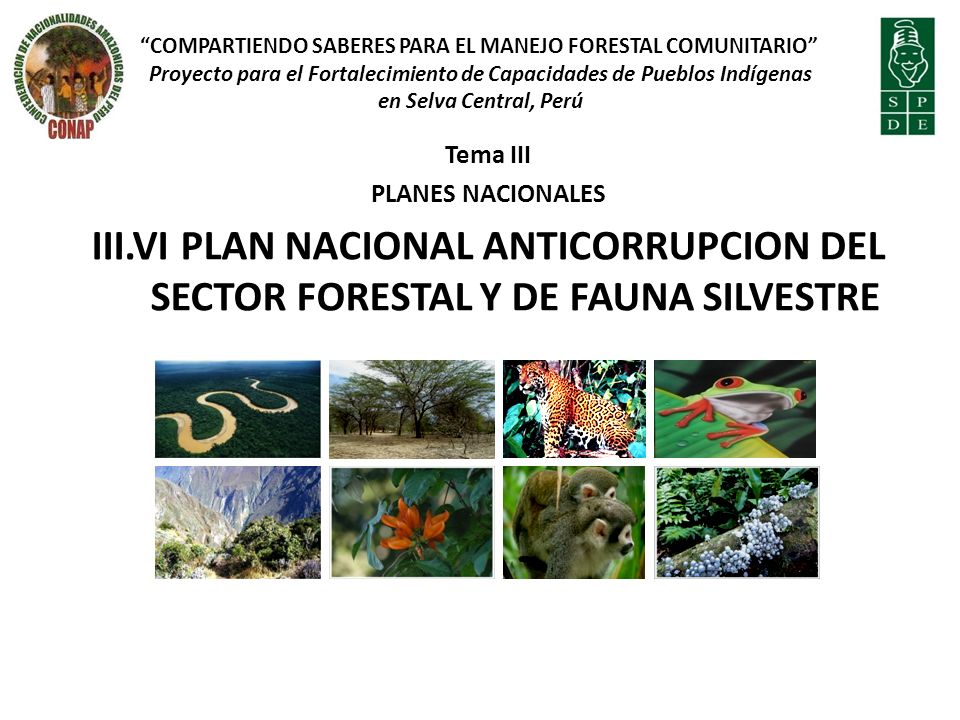 Compartiendo Saberes para el Manejo Forestal Comunitario Proyecto para el Fortalecimiento de Capacidades de Pueblos Indígenas
