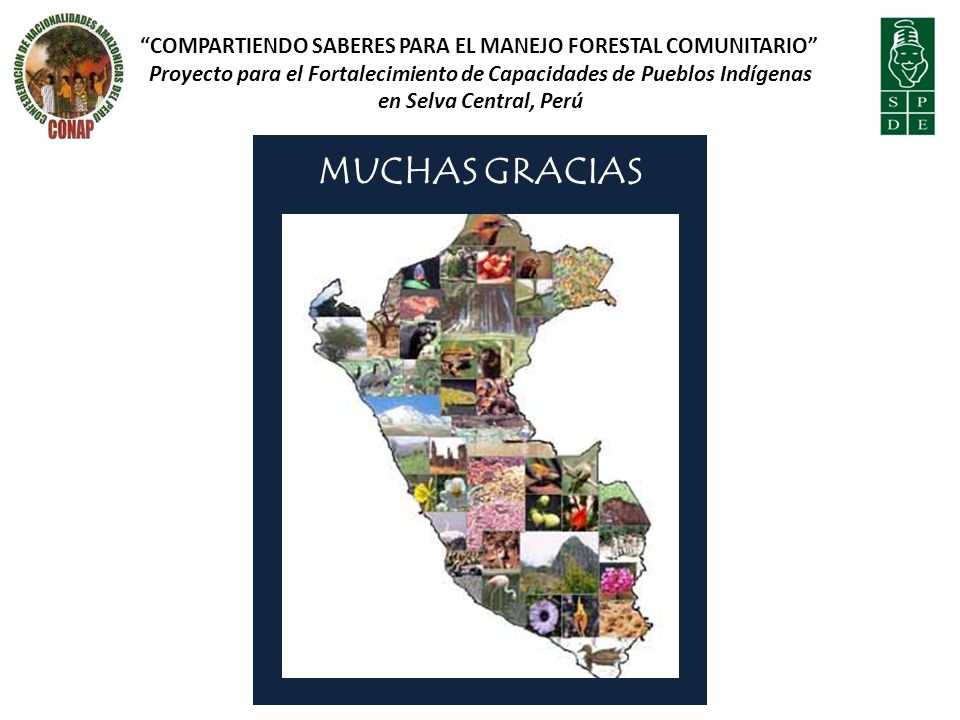 Compartiendo Saberes para el Manejo Forestal Comunitario Proyecto para el Fortalecimiento de Capacidades de Pueblos Indígenas