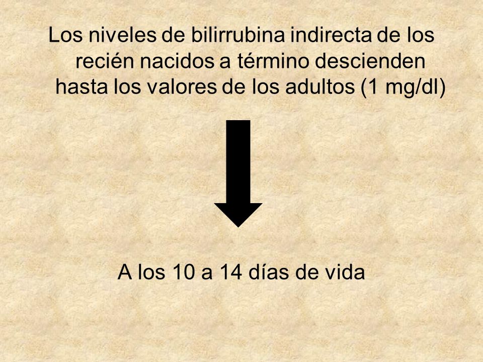 Los niveles de bilirrubina indirecta de los recién nacidos a término descienden hasta los valores de los adultos (1 mg/dl) A los 10 a 14 días de vida