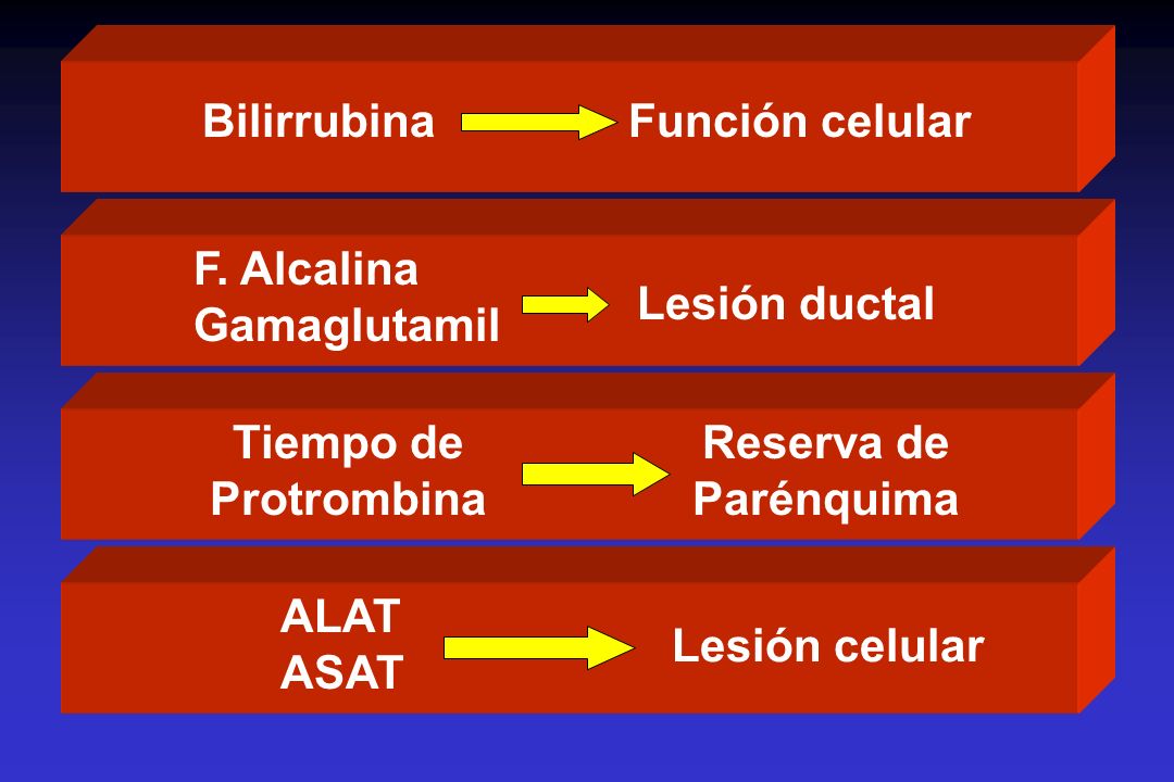 Bilirrubina Función celular. F. Alcalina Gamaglutamil. Lesión ductal. Tiempo de Protrombina. Reserva de Parénquima.