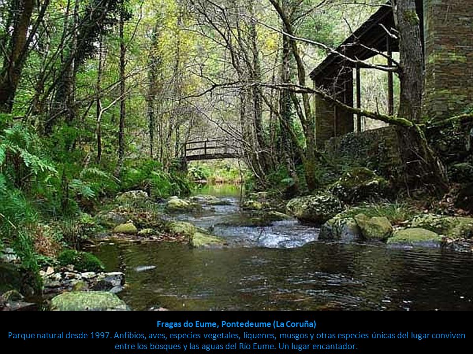 Fragas do Eume, Pontedeume (La Coruña) Parque natural desde 1997